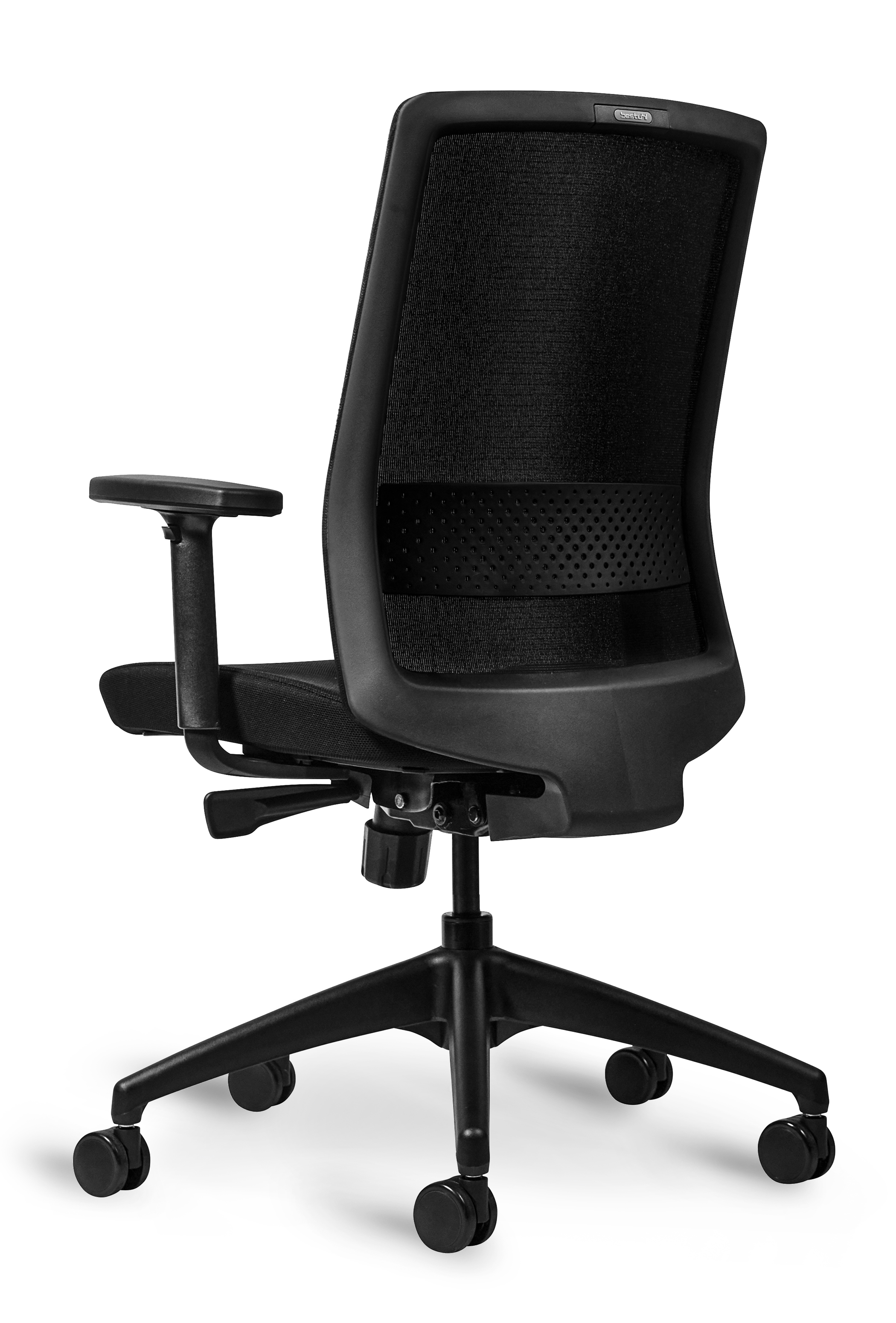 WS - S30 Task Chair - Black (Back angle)