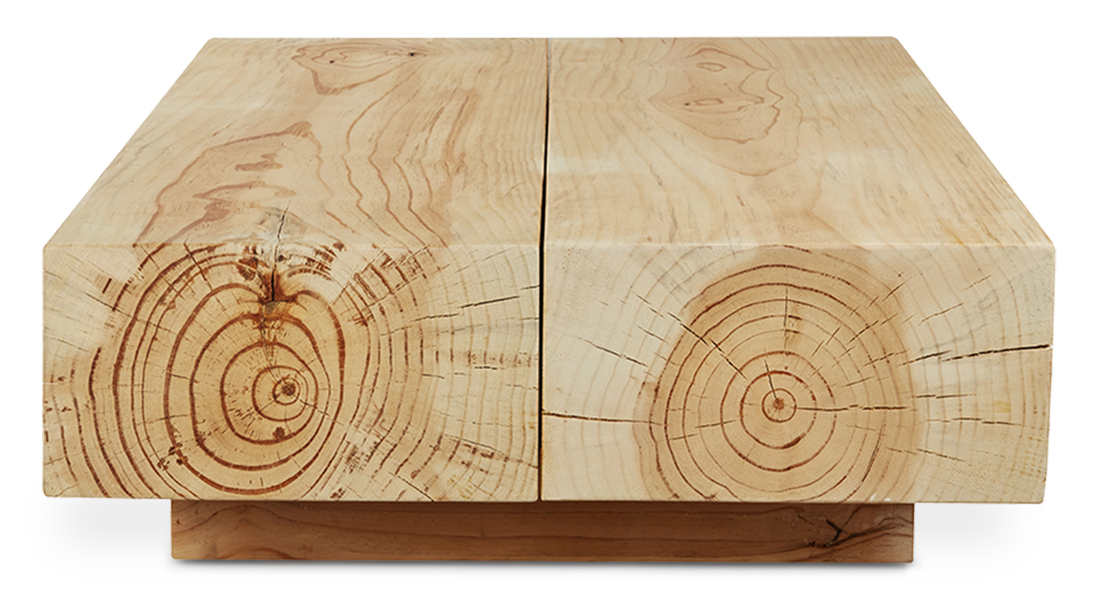 WS - In the Flesh coffee table - Natural (2)