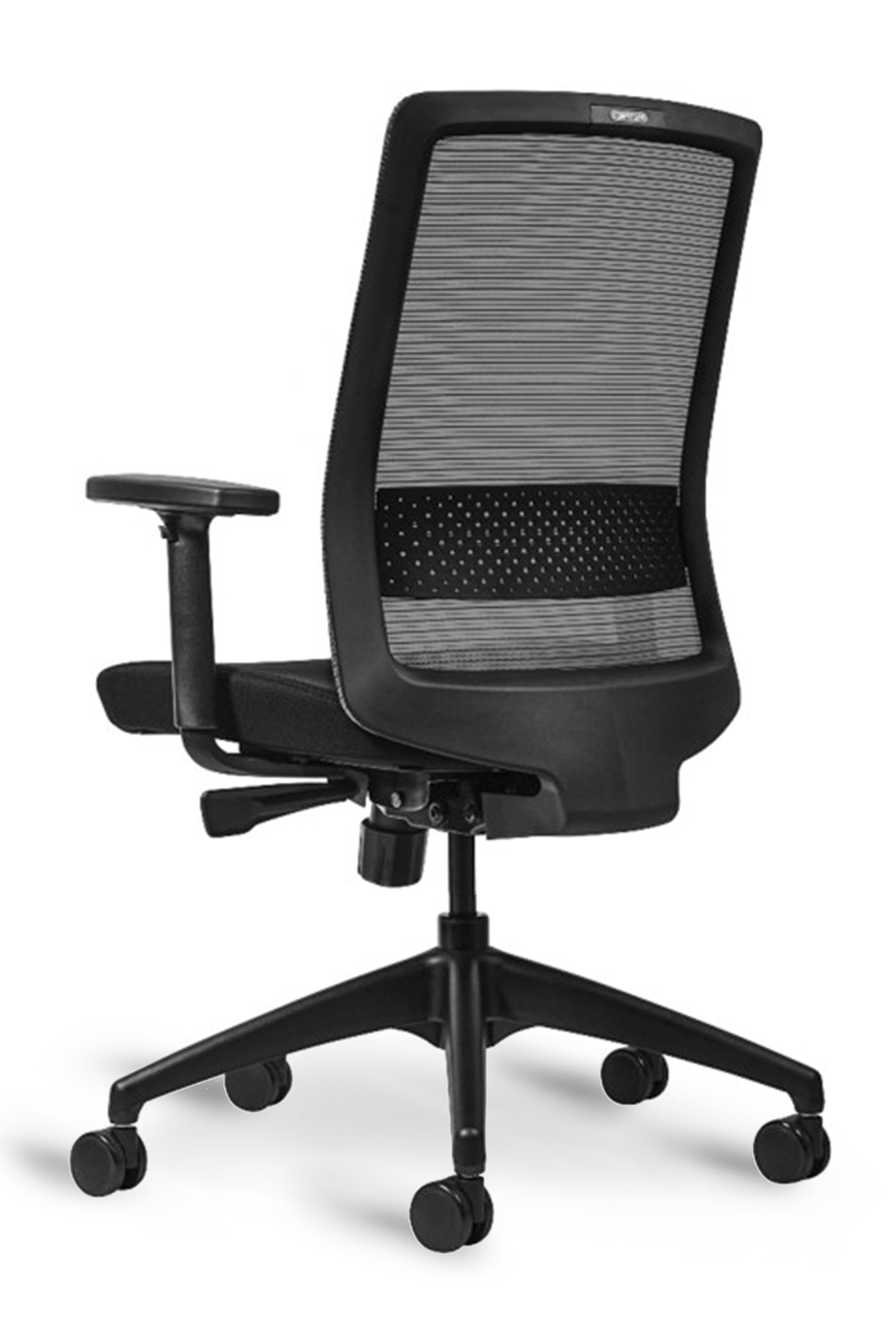 WS - S30 Task Chair - Black&Dark Grey (Back angle)