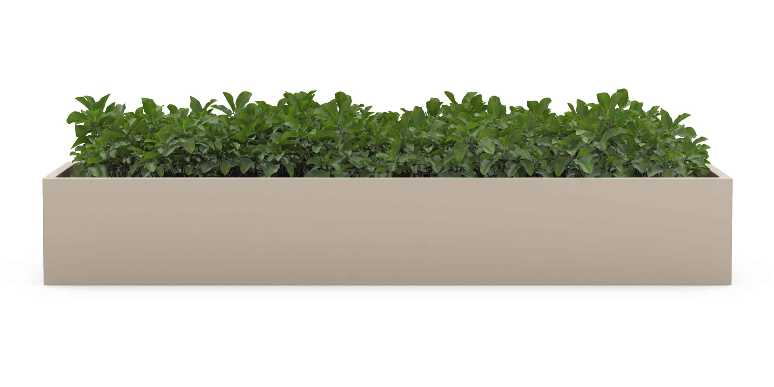 Profile Planter 1