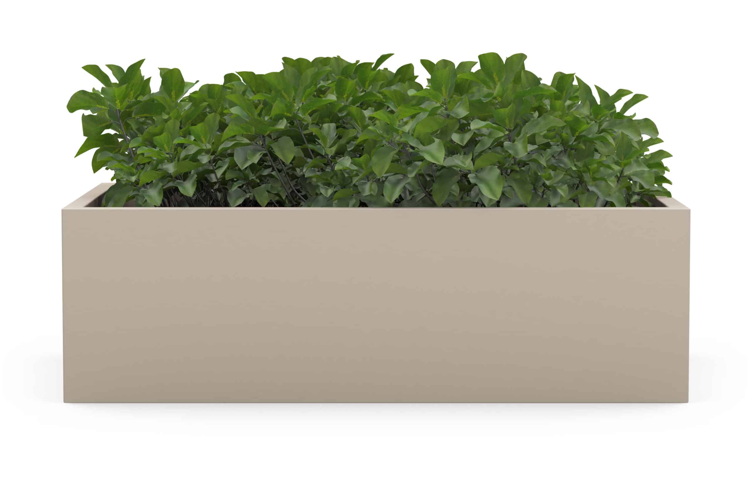 Profile Planter 2